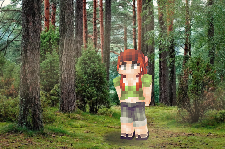 Wandering in the Woods Minecraft Skin
