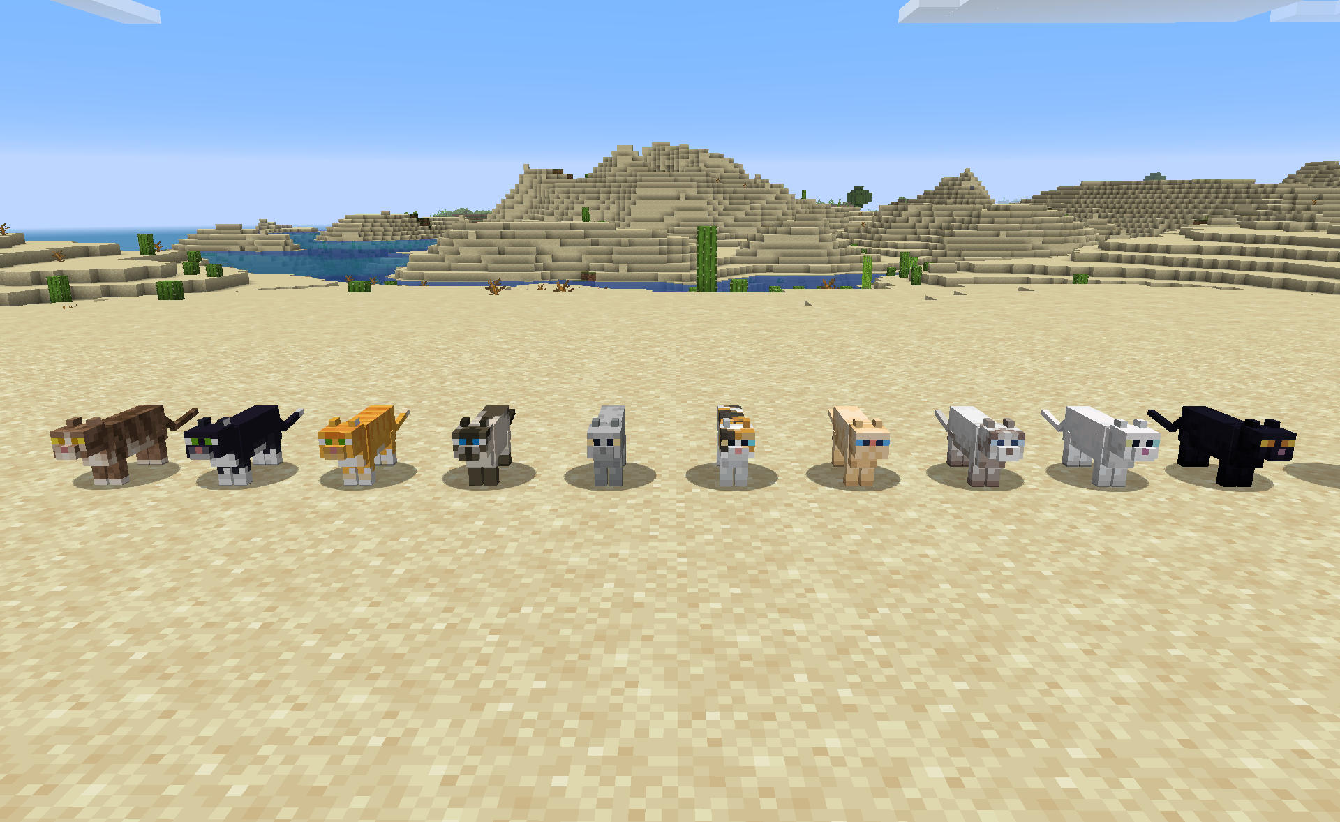 Resultats Du Concours De Chat Actualite Minecraft Fr Minecraft