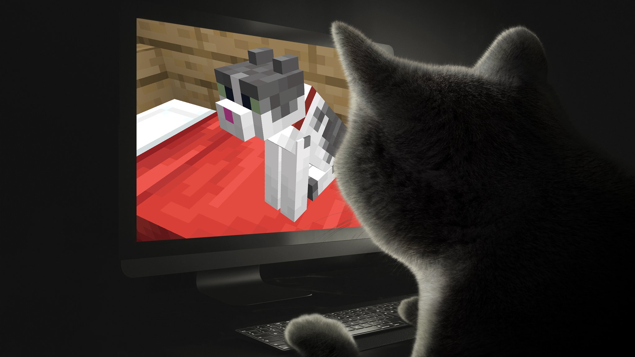 Resultats Du Concours De Chat Actualite Minecraft Fr Minecraft