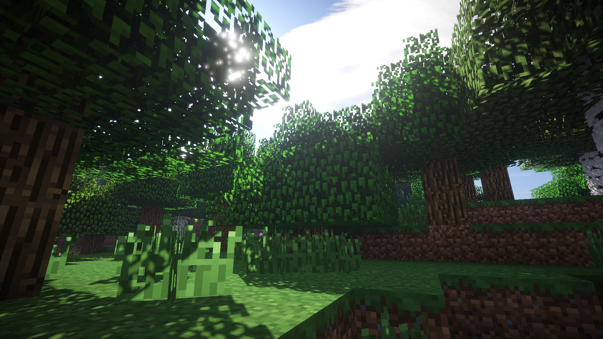Minecraft Mod Minecraft : Sonic Ether's Unbelievable Shaders v10.1