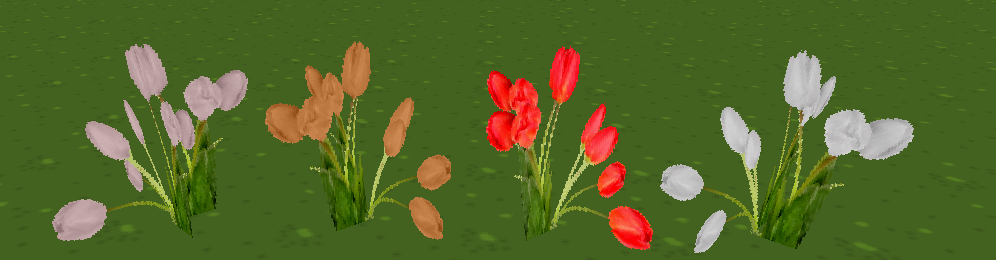 tulipes.png